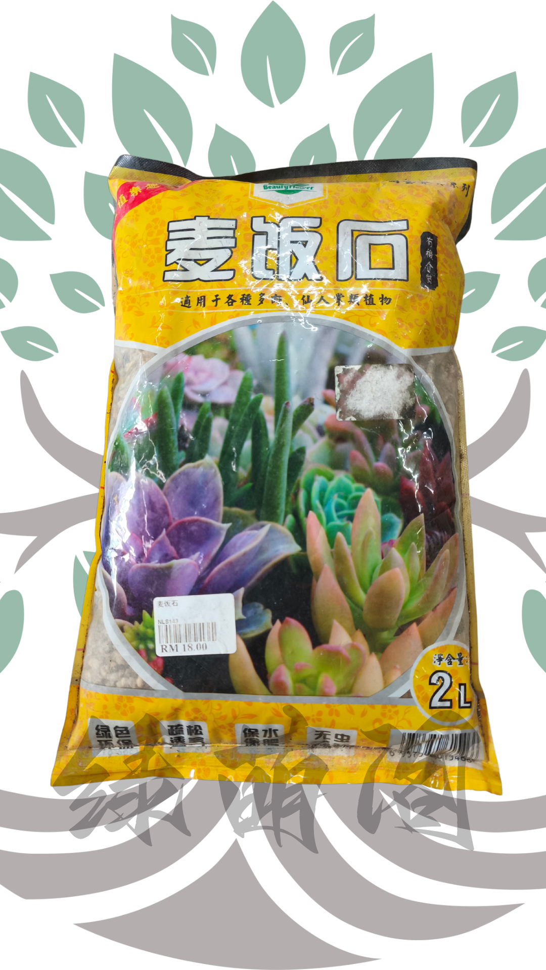 多肉