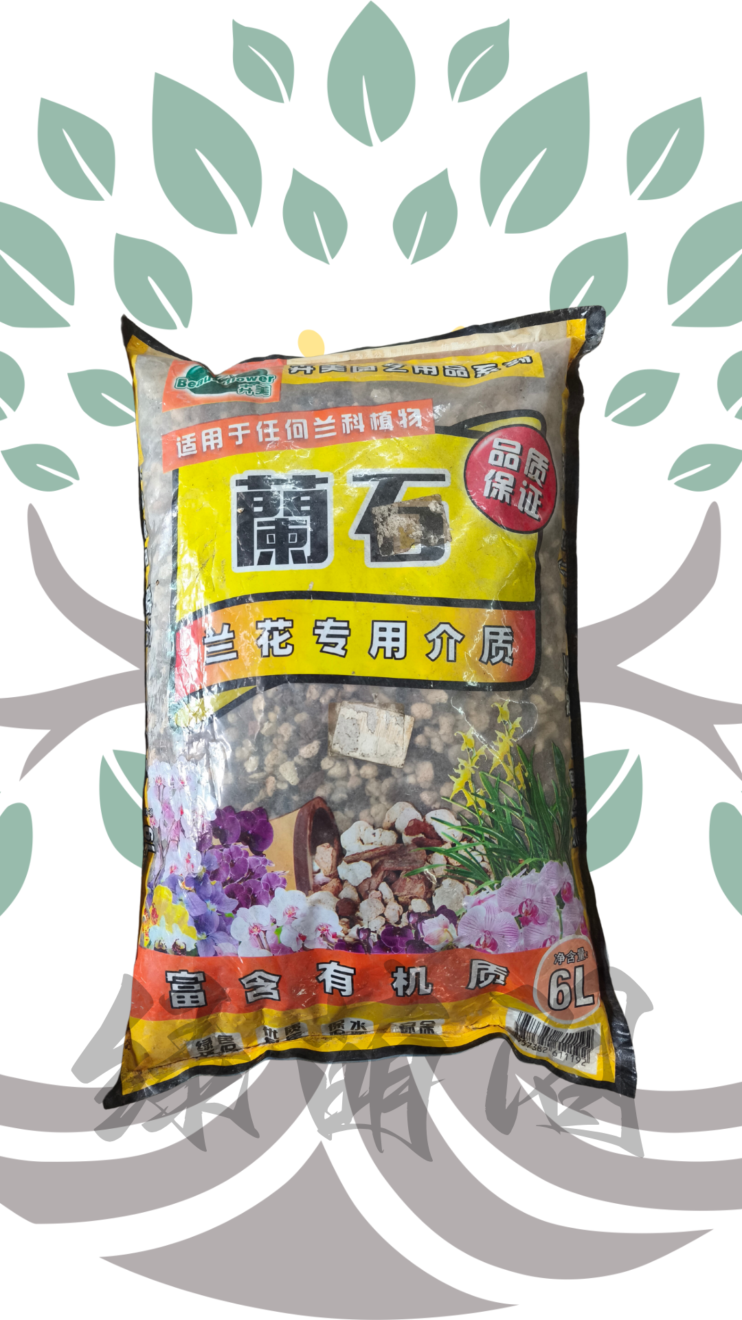 lanhua